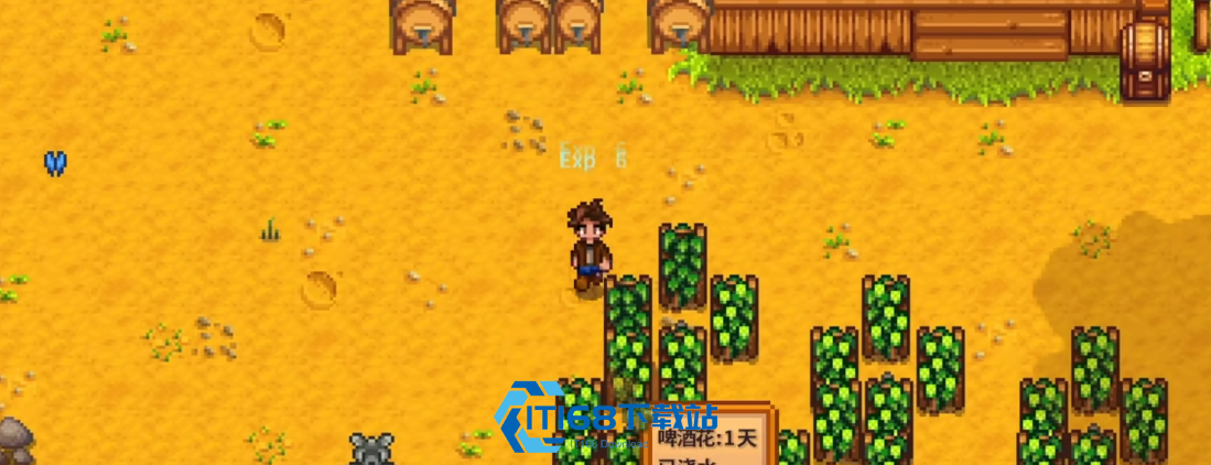 星露谷物语酿酒流怎么走