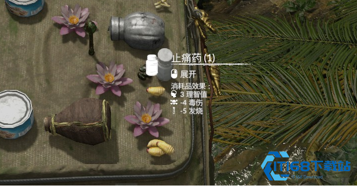 绿色地狱发烧了怎么办