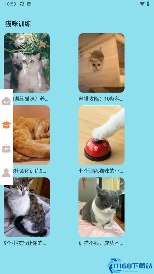 密聊猫咪